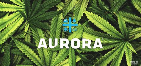 aurora cannabis home page